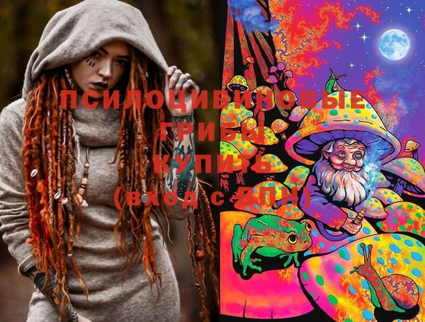 ПСИЛОЦИБИНОВЫЕ ГРИБЫ Надым