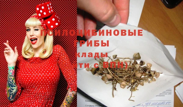 ПСИЛОЦИБИНОВЫЕ ГРИБЫ Надым