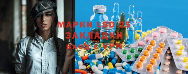 ГАЛЛЮЦИНОГЕННЫЕ ГРИБЫ Навашино